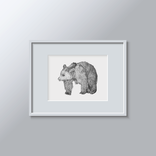 A3 Print: Bear