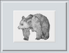 A3 Print: Bear