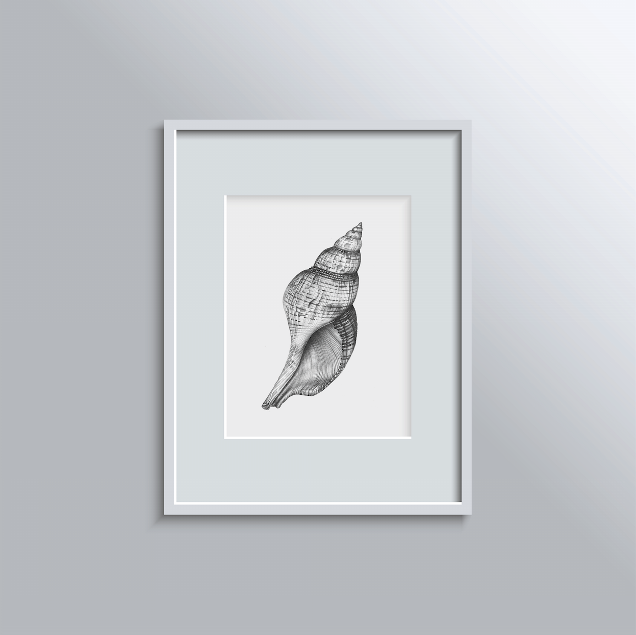 A3 Print: Shell