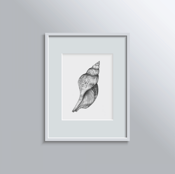 A3 Print: Shell