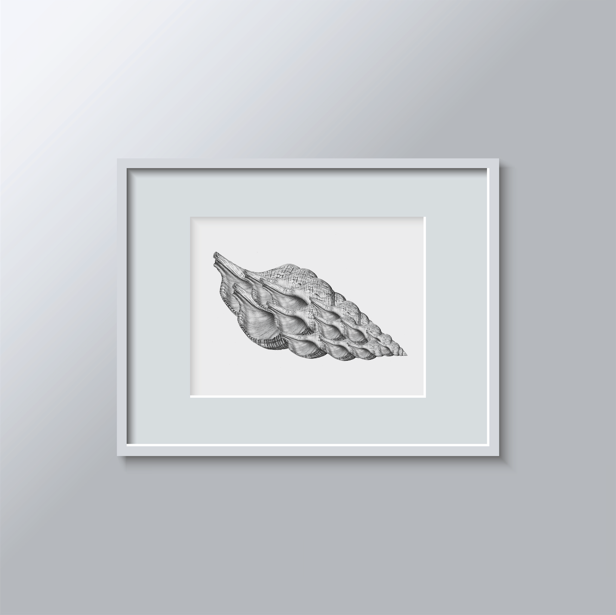 A3 Print: See Shells