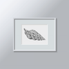 A3 Print: See Shells