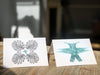 Card Set: Botanical Birds