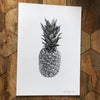 A3 Print: Piña