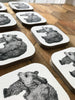 Coaster Pair: Bear