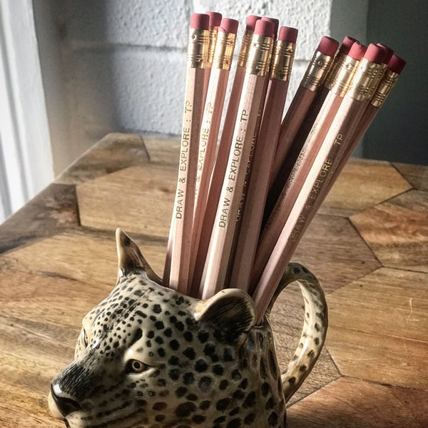 Pencil: Draw & Explore