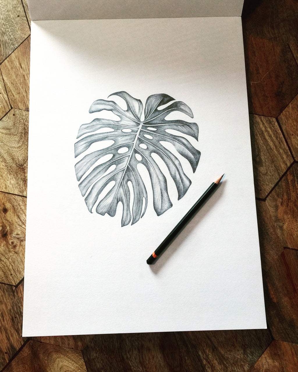 A3 Print: Monstera Leaf