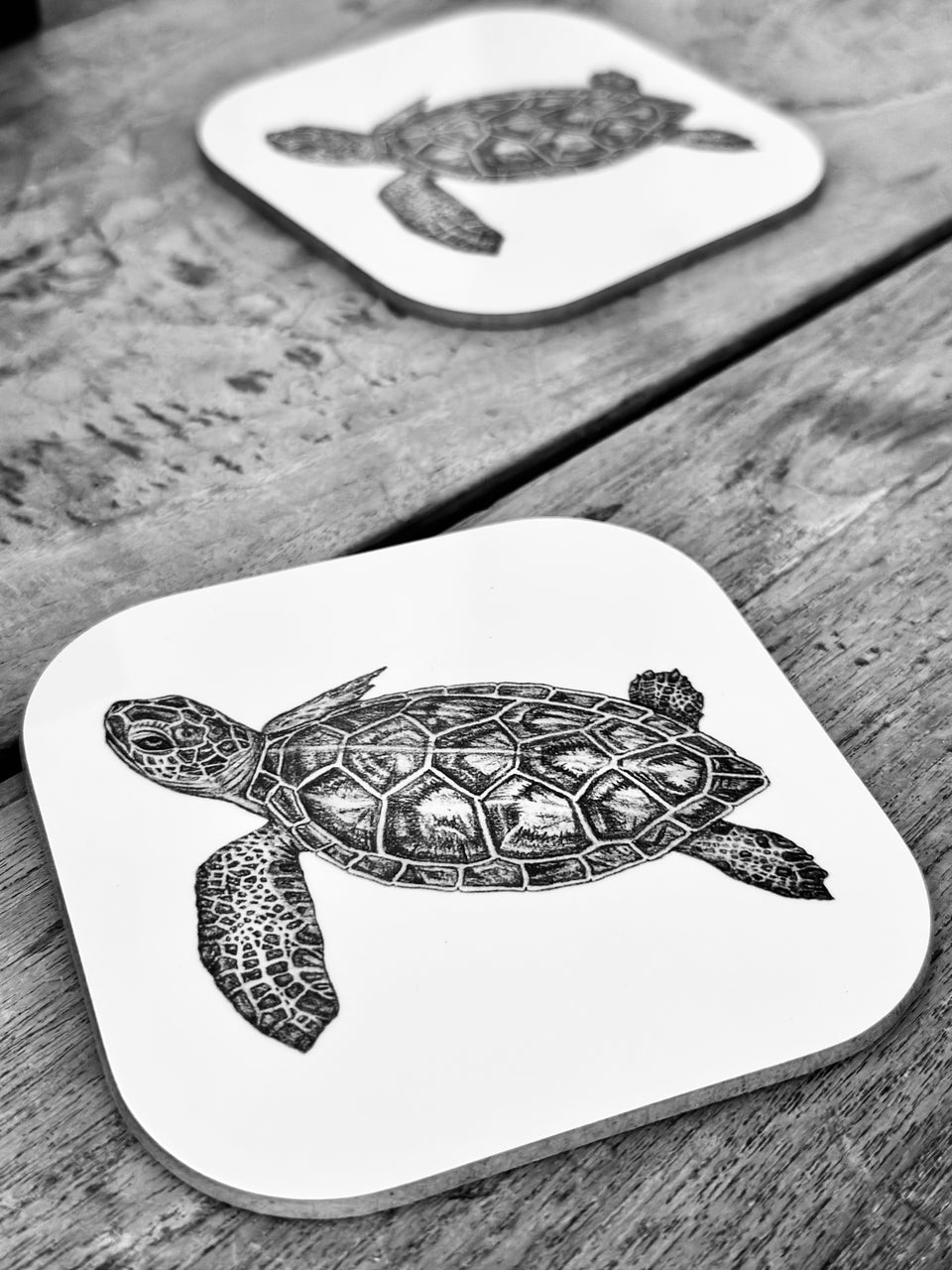 Coaster Pair: Turtle