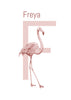 F is for Flamingo