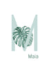 M is for Monstera